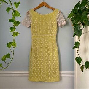 Antonio Melani cocktail sheath lace dress